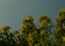 colour grade photos to your liking
